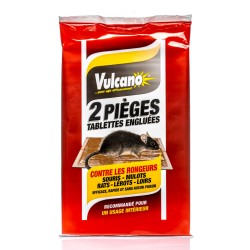 VULCANO PIEGE ENGLUE SOURIS*2