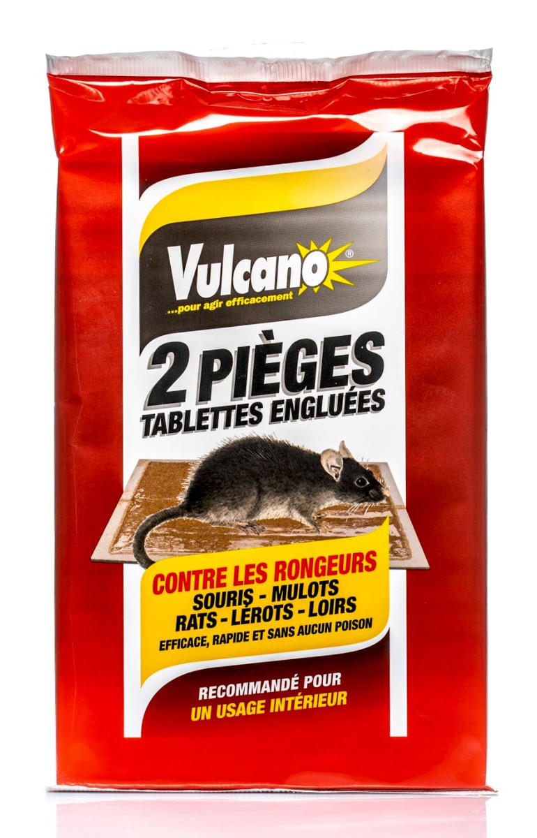 Pièges Anti-Fourmis Vulcano Lot De 3 - Appât Gel Efficace 4 Mois Protection Maison